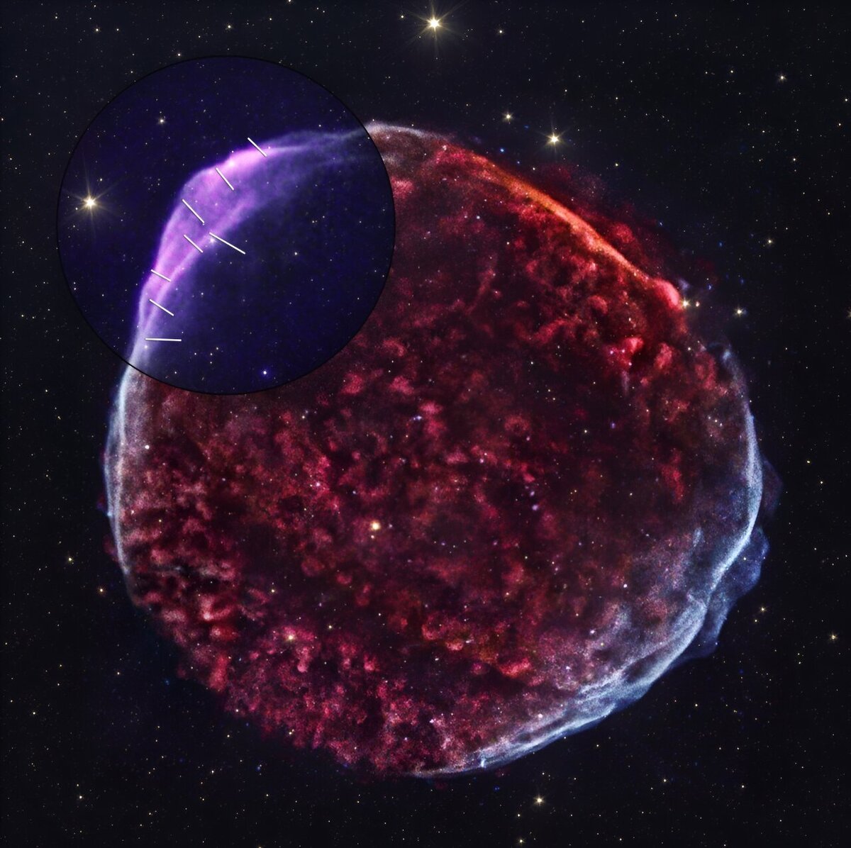 Это изображение остатка сверхновой SN 1006 объединяет данные, полученные с помощью метода рентгеновской поляриметрии и рентгеновской обсерватории «Чандра». Данные IXPE, измеряющие поляризацию рентгеновского света, показаны фиолетовым цветом в верхнем левом углу. Источник: NASA/CXC/SAO/J.Schmidt  📷

