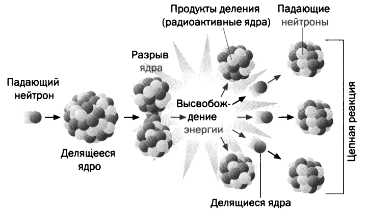 Механизм деления урана