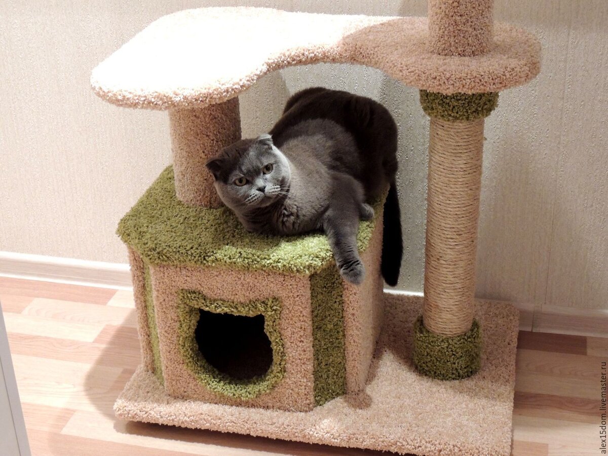 Кошкин дом
