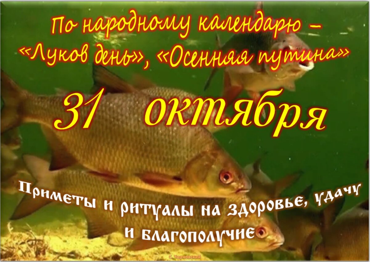 31 октября - Приметы, обычаи и ритуалы, традиции и поверья дня. Все  праздники дня во всех календарях. | Сергей Чарковский Все праздники | Дзен