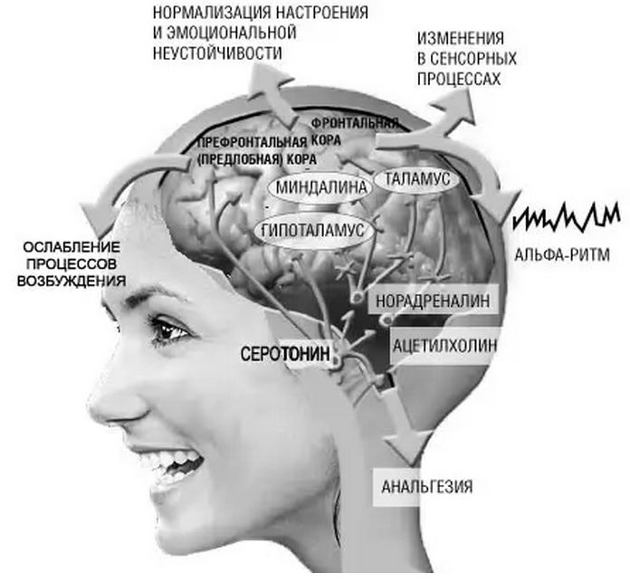 Колебания мозга человека. Состояние мозга. Альфа состояние мозга. Состояния работы мозга. Ритмы головного мозга.