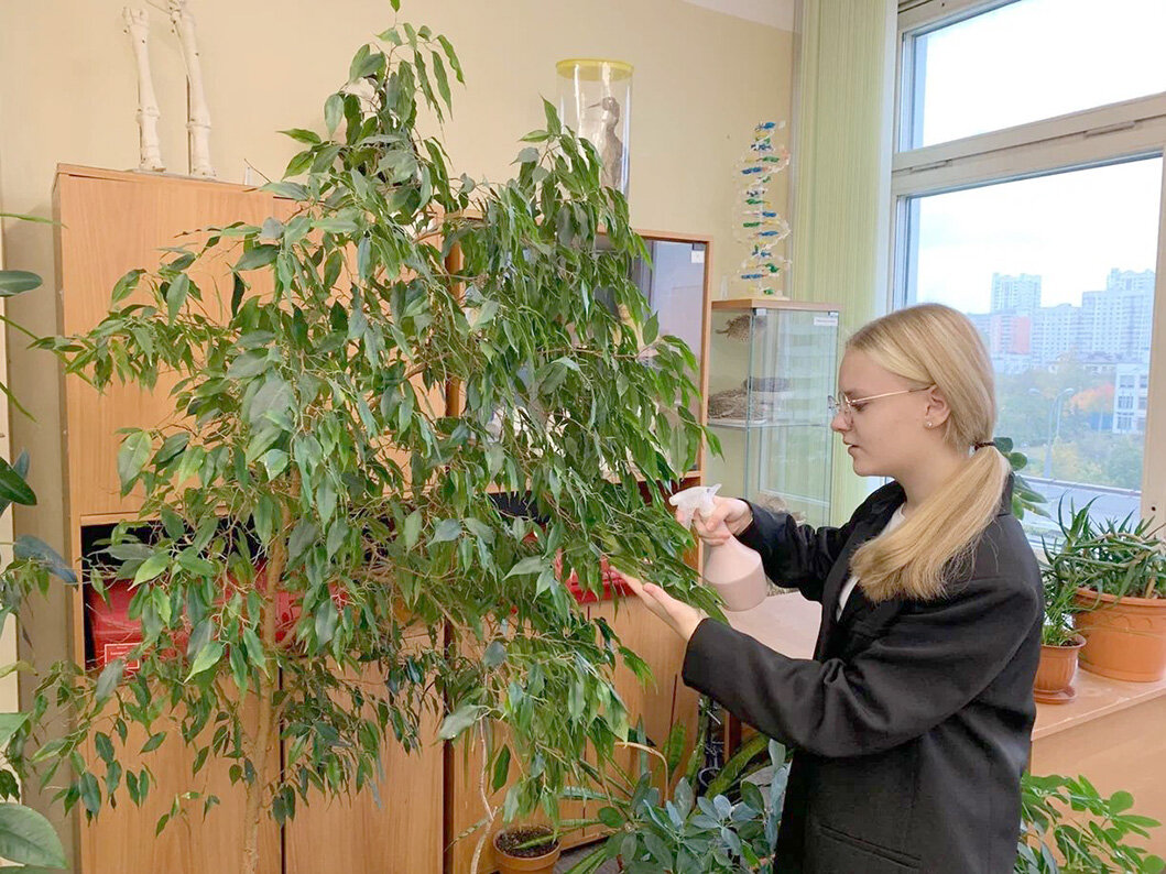 Листайте вправо, чтобы увидеть больше изображений