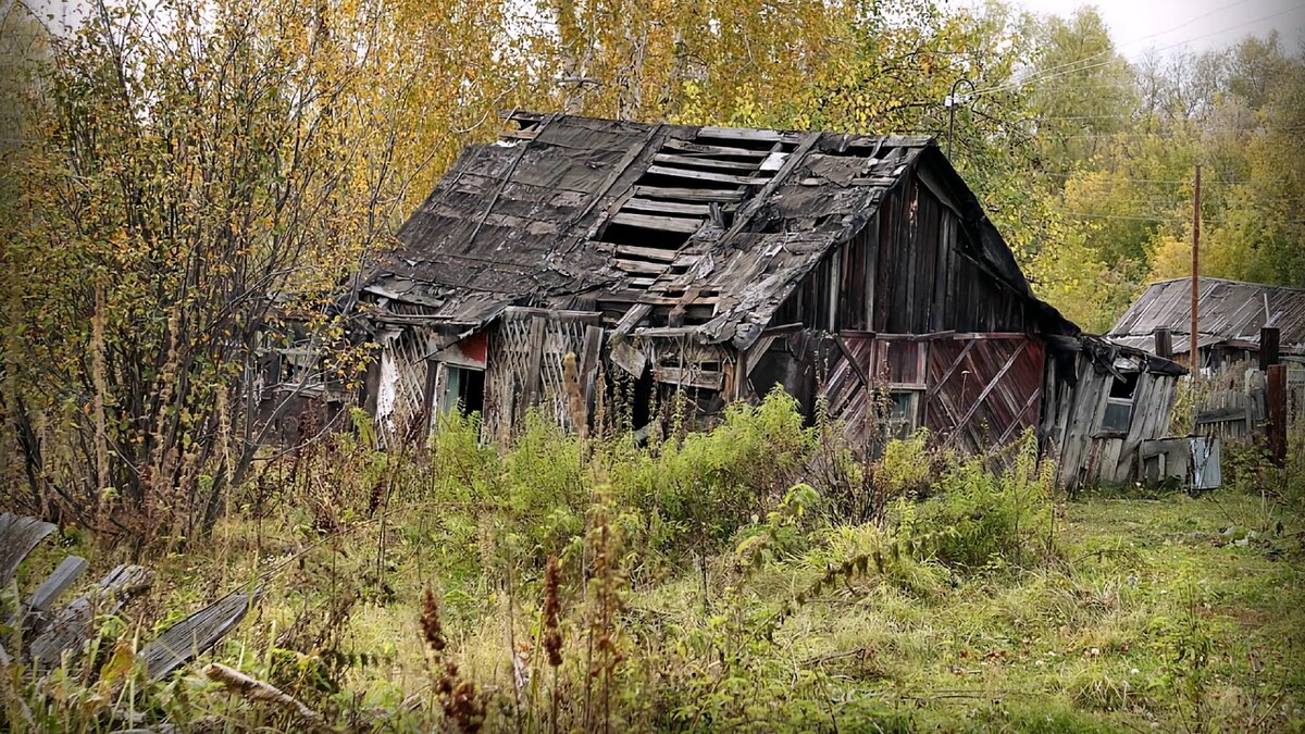 Фото из открытых источников