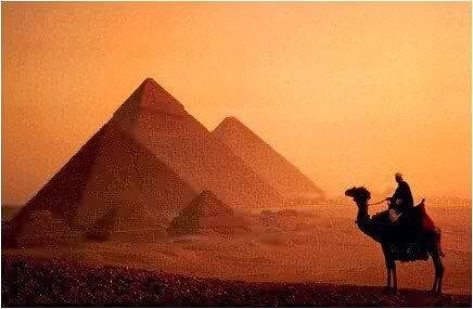 Из открытых источников интернета