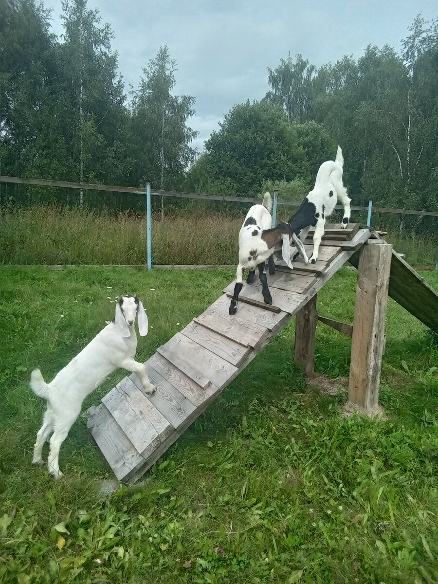 Фото автора. 