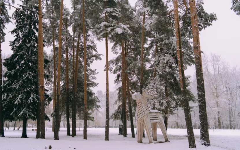    Новости Ижевска на утро 31 октября: парикмахер на ТНТ и День жутких сказок