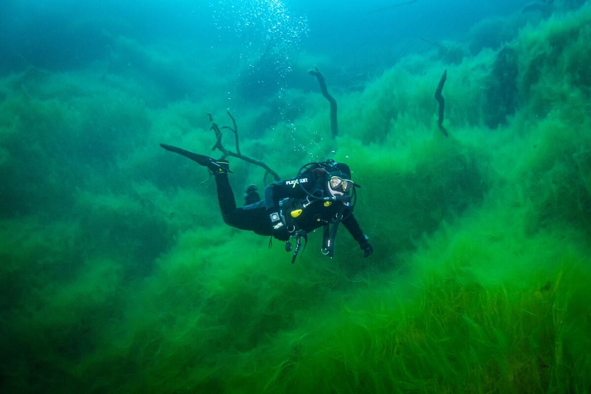 Фото из архива клуба Дайвинг Всем, фотограф Яна Кладова 