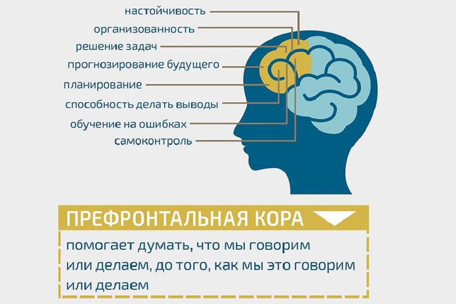 Меня сейчас даже деньги не мотивируют... Всё тлен... Или лень? 