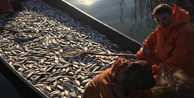 Фото предоставлено Тимуром Нигаматьяновым