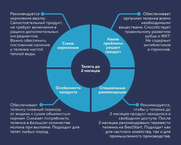 Советы по переходу молочных телят на комбикорм