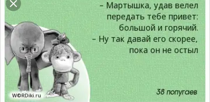 Привет ты откуда. Мартышка передает привет. Цитаты из 38 попугаев. Мартышка тебе привет от удава. Обезьяна передает привет.