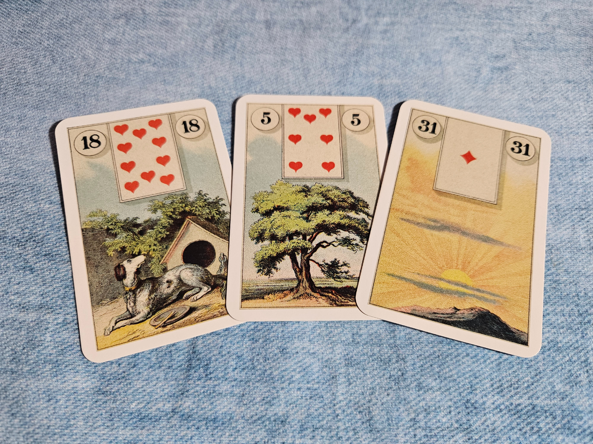 Общая энергия дня