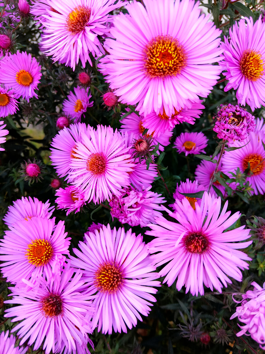 Яркие краски октября