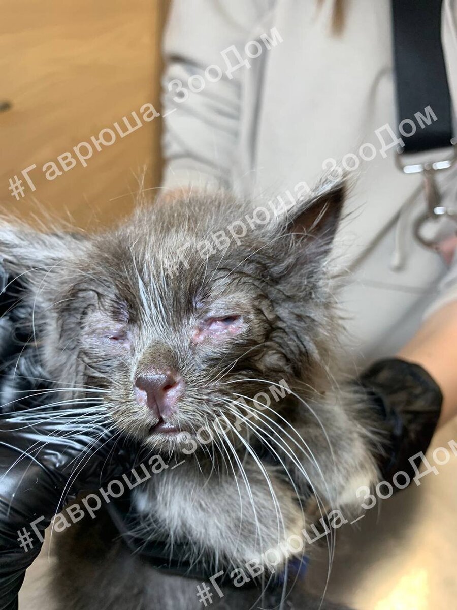 Глазки промыли, но их почти не было видно