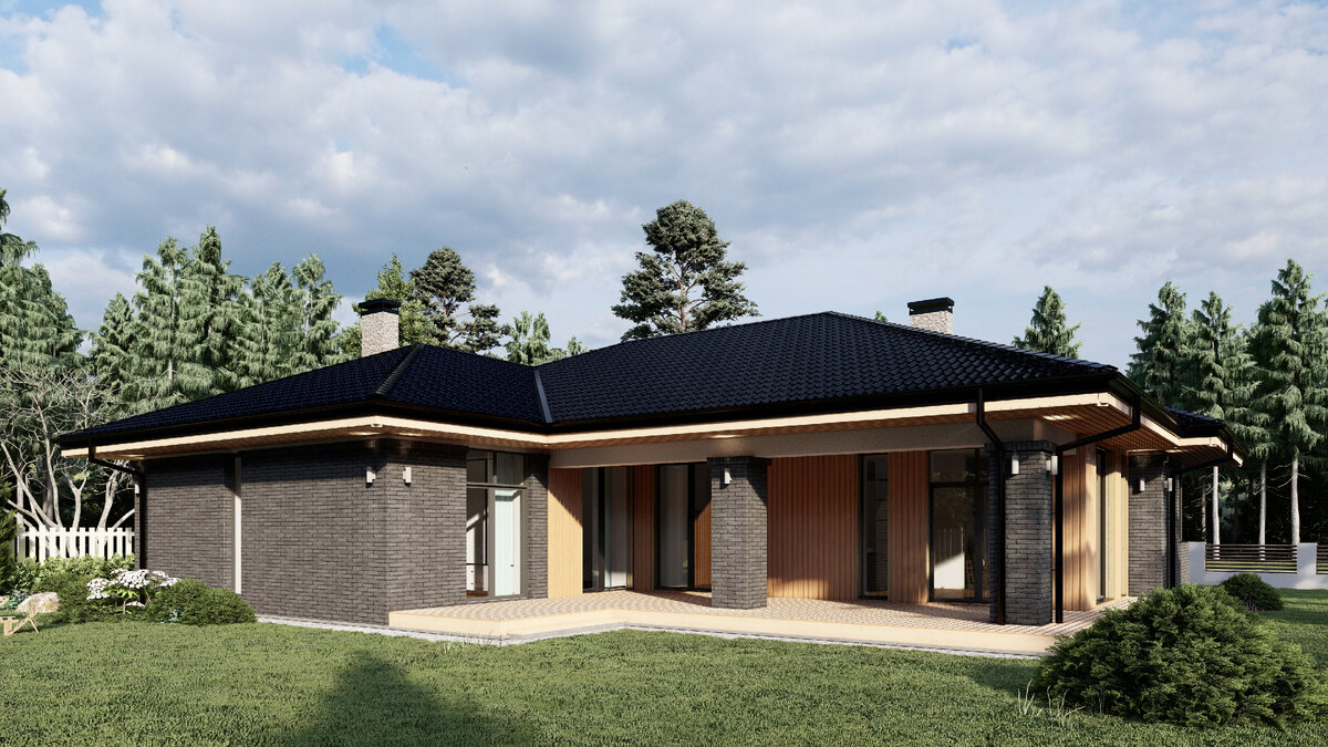 Перспектива вид 1