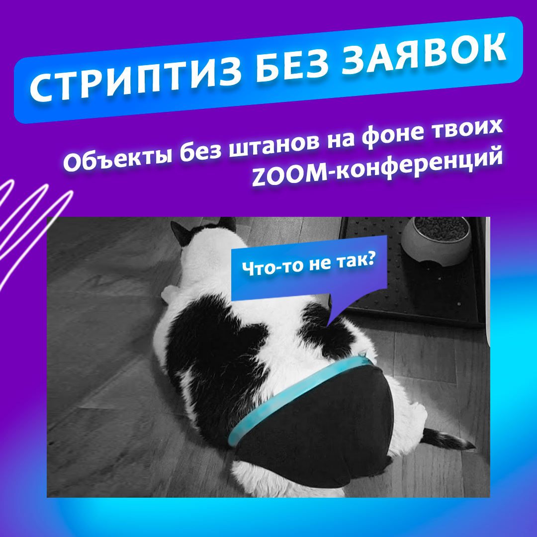 Объекты без штанов на фоне твоих ZOOM-конференций.