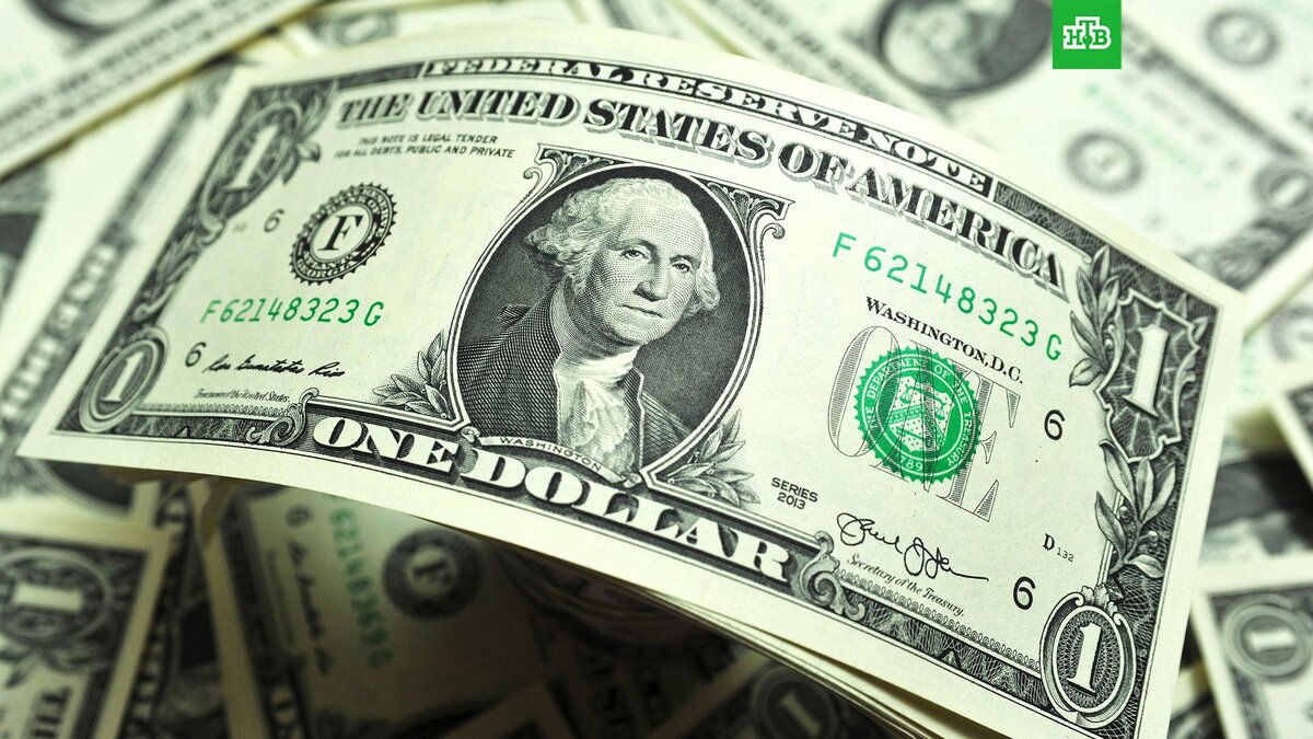    Фото: РИА Новости © 2023, Алексей Сухоруков