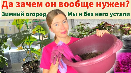 фитолампы для растений