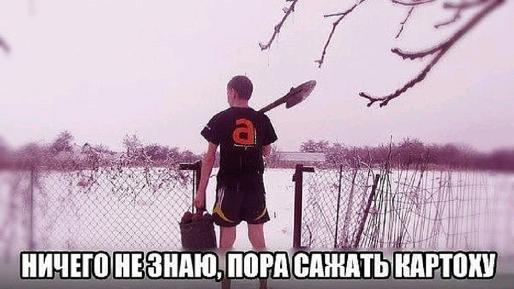 17 не знаю. Пора сажать картошку. Ничего не знаю пора сажать картошку. Ниче НП знаю пора сажать картошкк. Снег пора сажать картошку