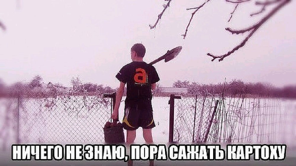 Все было б ничего