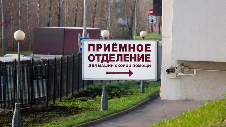 ФОТО: ILYA GALAKHOV/GLOBALLOOKPRESS