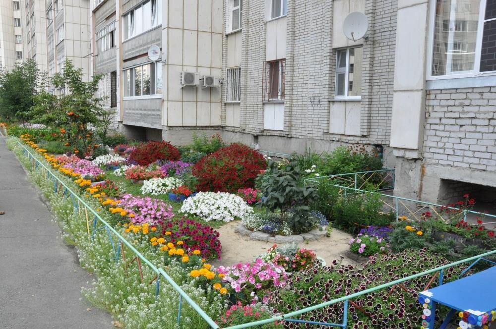 самый лучший двор