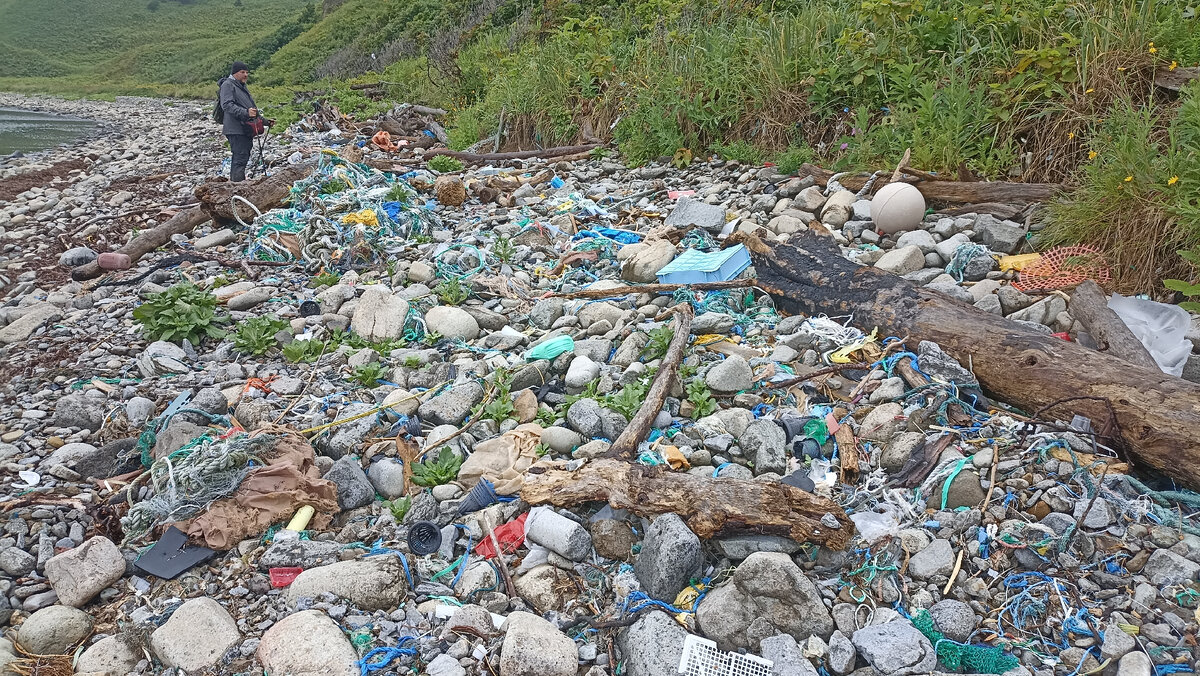 Жуть, сколько мусора