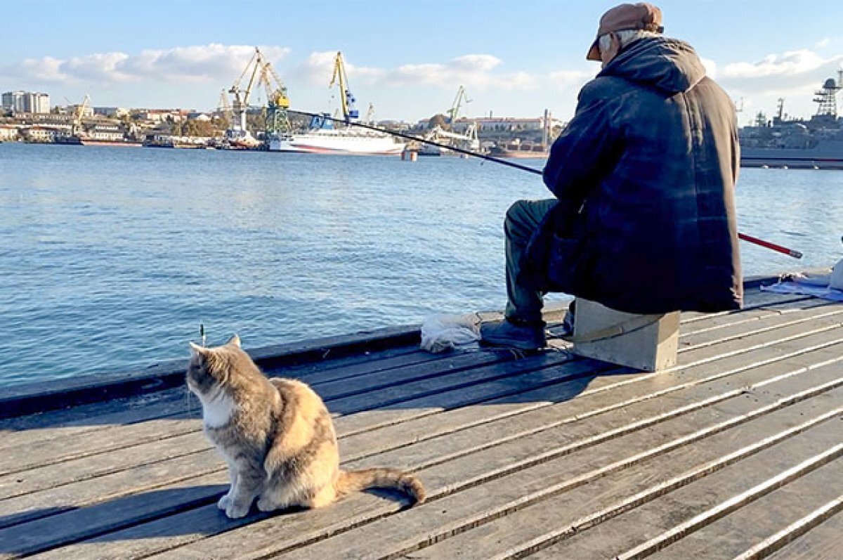    Коты контролируют рыбаков и улов.