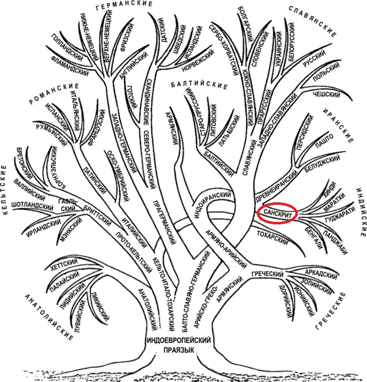Индоевропейская семья Древо. Индоевропейская семья языков дерево. Генеалогическое Древо индоевропейской семьи языков. Индоевропейская языковая семья генеалогическое Древо. Завязывать праязык расписной