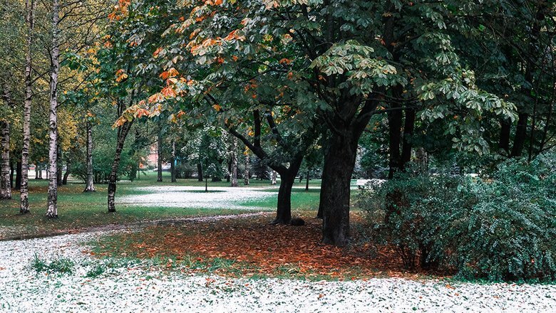 Источник: РИА "Новости"