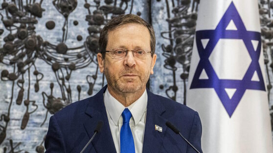    Президент Израиля Герцог оценил действия российских властей в Махачкале Богдан Герцен