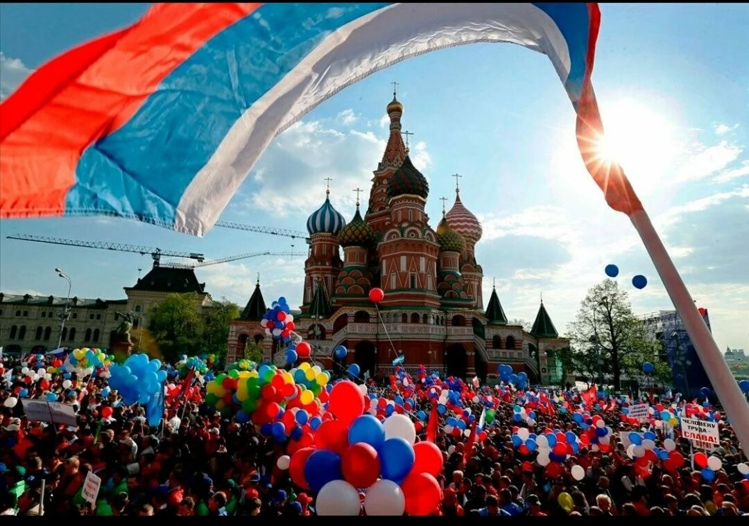 Яндекс. Поиск