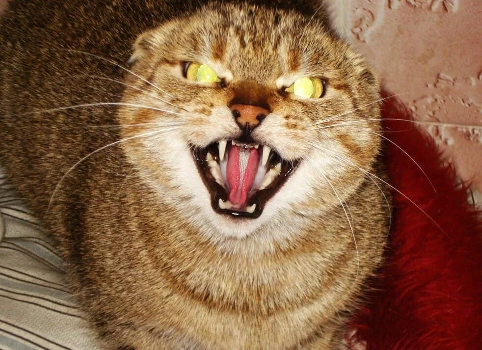 Тонкий намёк на толстые обстоятельства. 