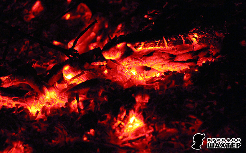 Фото автора. Снимок никакого отношения не имеет к истории, а лишь косвенно иллюстрирует публикацию.