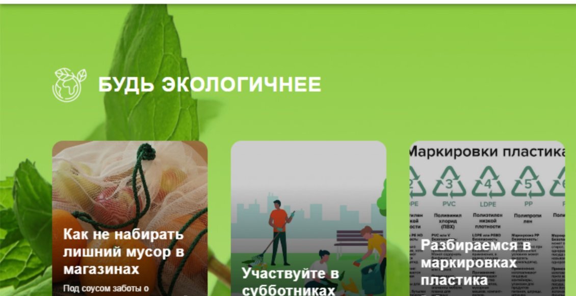    Фрагмент портала "Чистая страна"