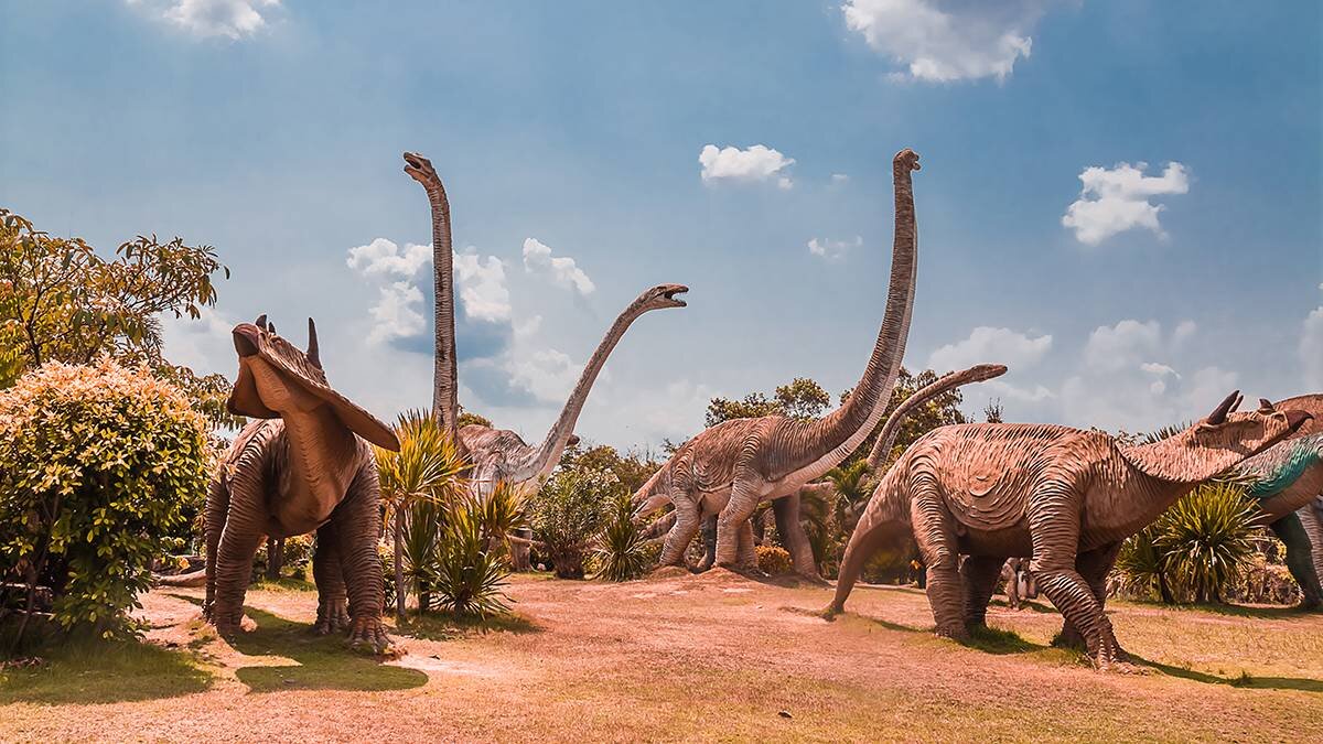    Фото: shutterstock