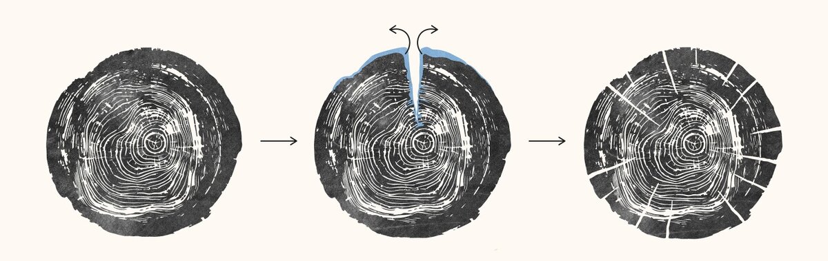 Почему оборудование из лиственницы трескается и меняет цвет: естественные процессы древесины