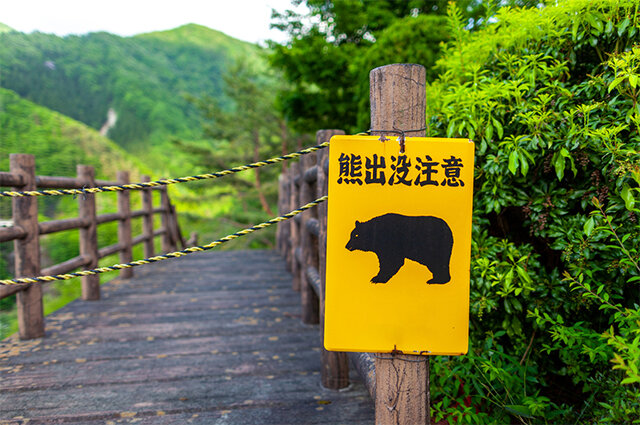    Фото: istockphoto.com