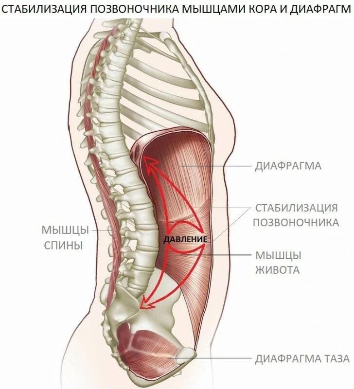 Noi modificari in Codul Rutier! - Consilierul tau juridic - Articole