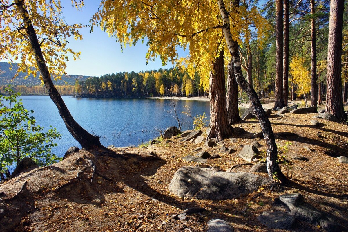 Во время отдыха следует приглядывать за детьми: глубина на озере нарастает быстро. Фото: Олег О. / Яндекс Карты