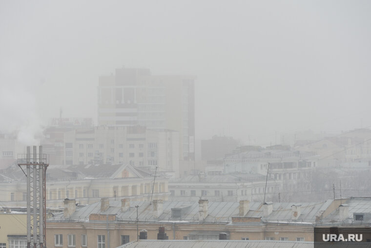    Туманы накроют регион 1 ноября, сообщили синоптики