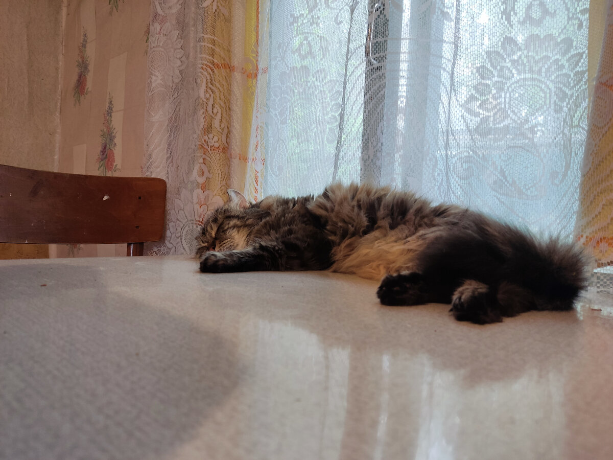 БабФис 