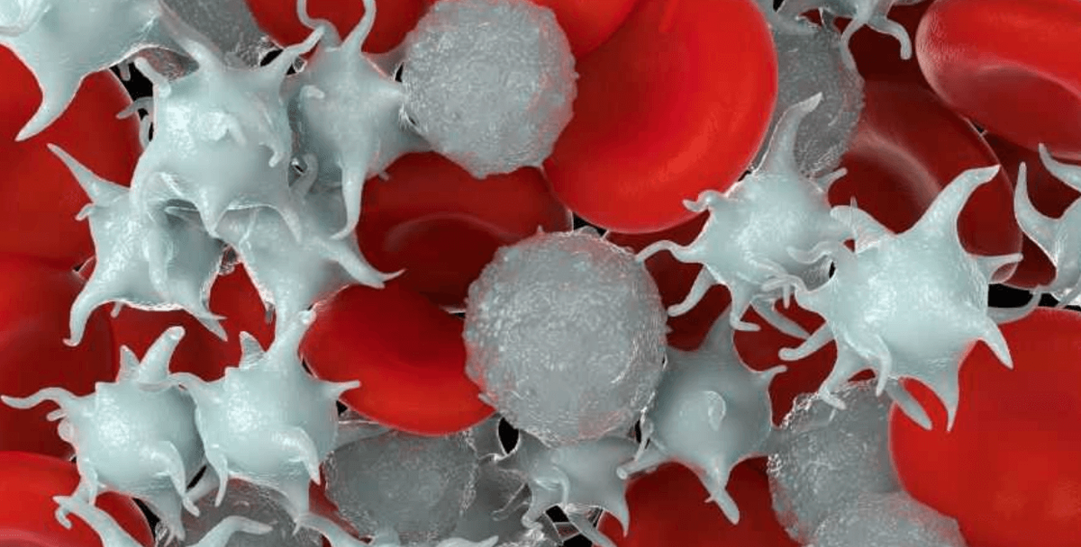    За свертывание крови отвечают тромбоциты и факторы свертывания