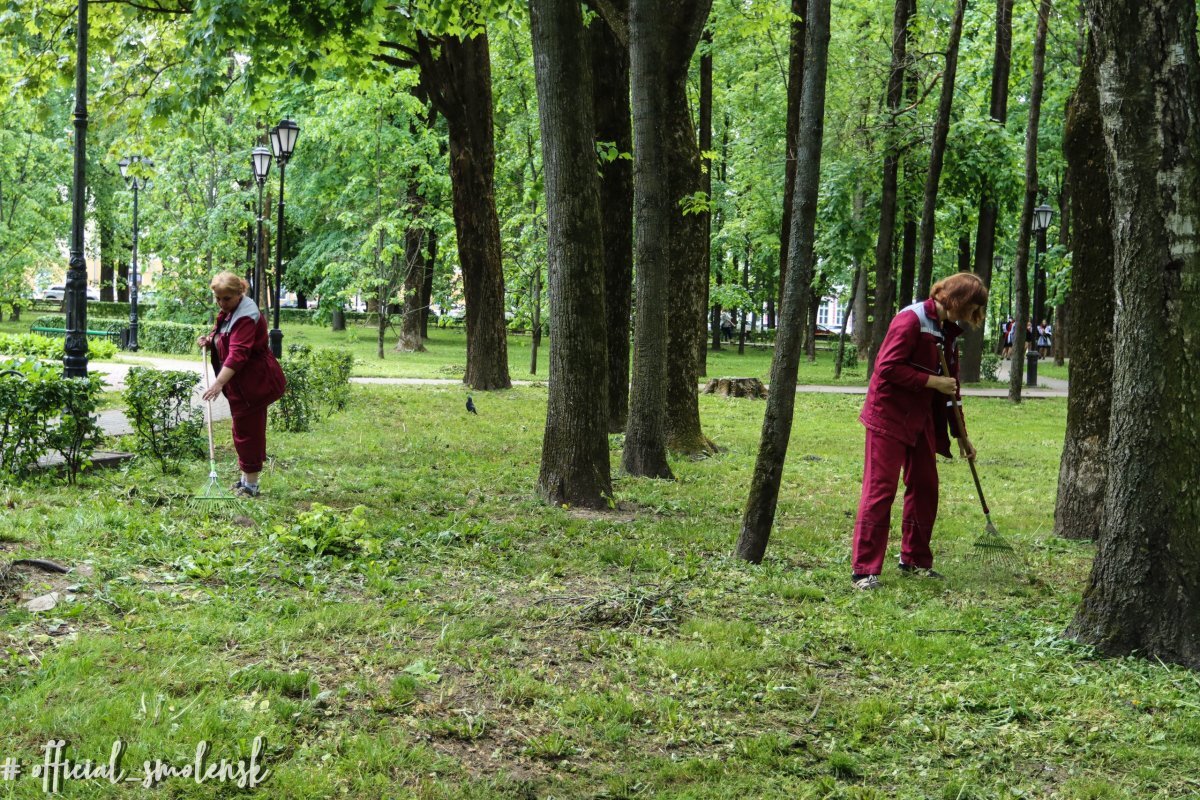    Глава города призвал смолян выбрать концепцию благоустройства Блонье