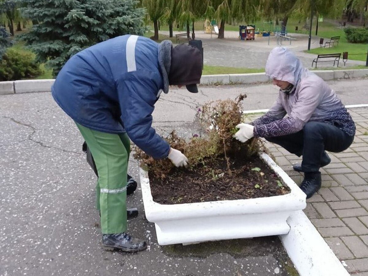    В Курске с клумб и цветников удаляют засохшие однолетники