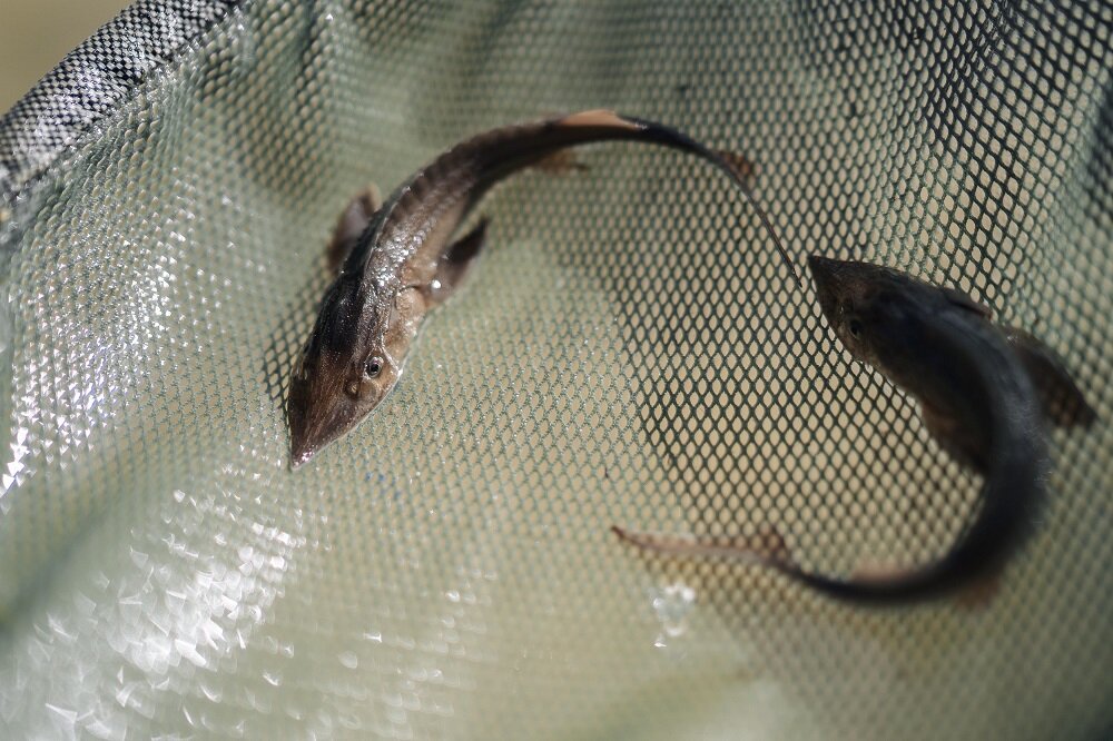     Фото: «Газпром нефть»