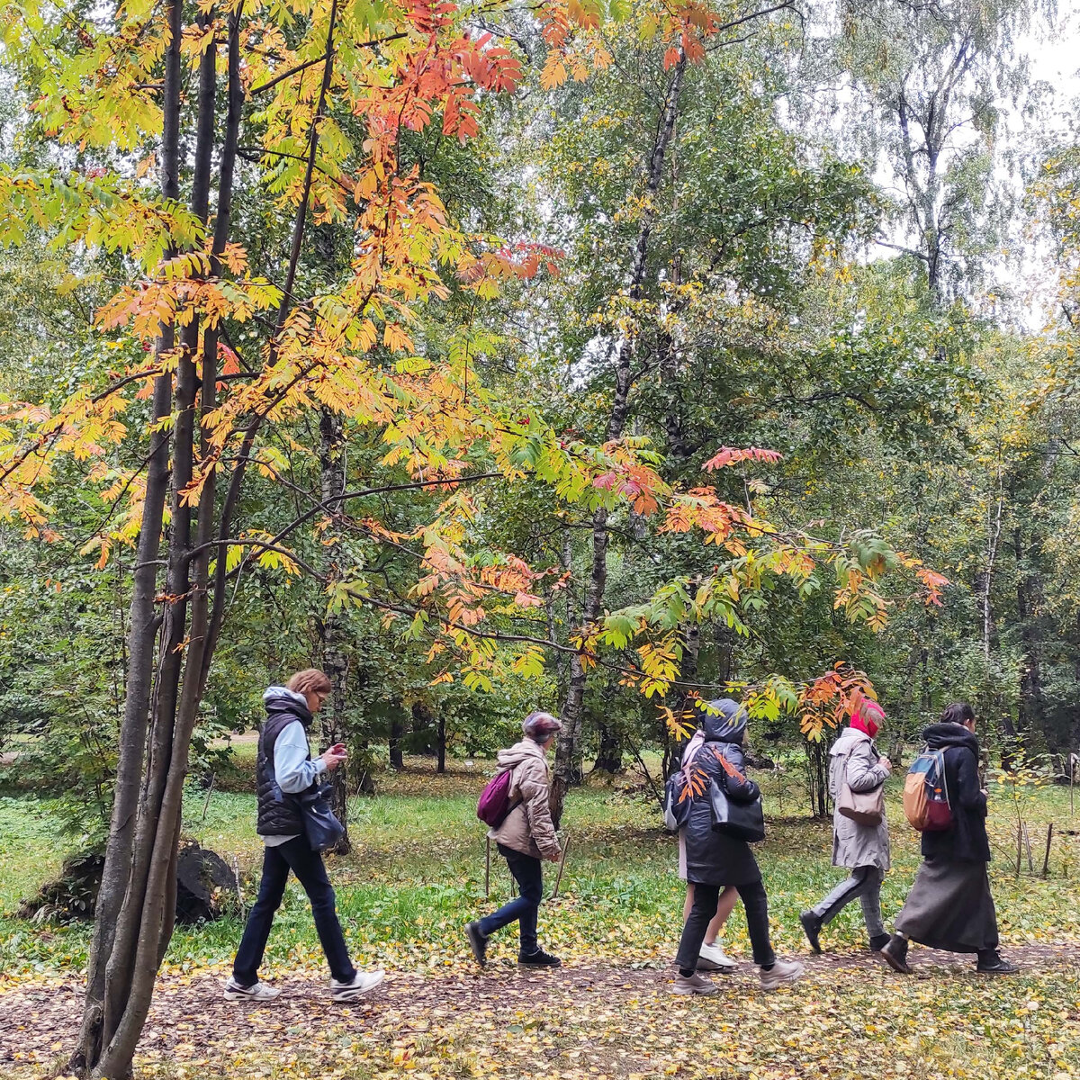 На экскурсиях по Дендрарию