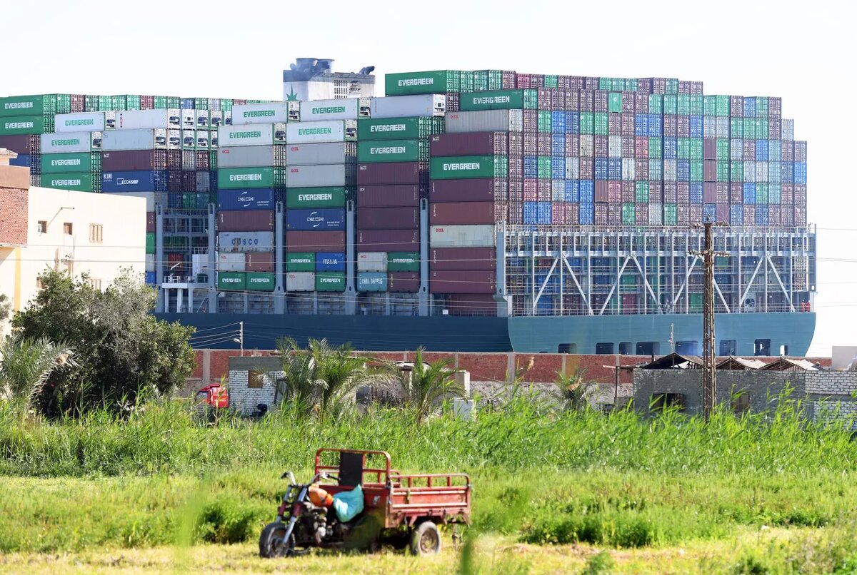 © Sputnik / Ахмед Махмуд