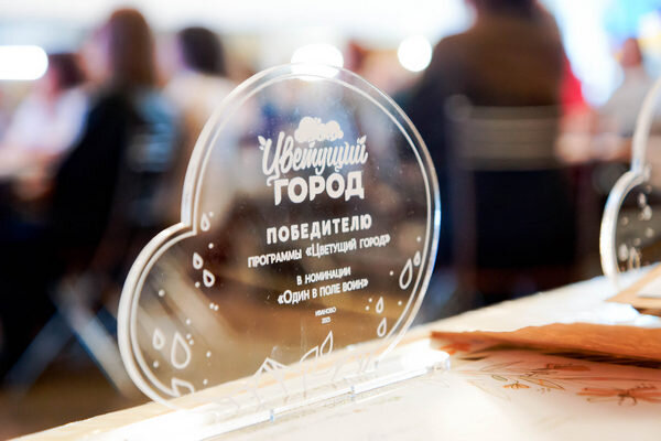     В Иванове назвали победителей программы «Цветущий город»