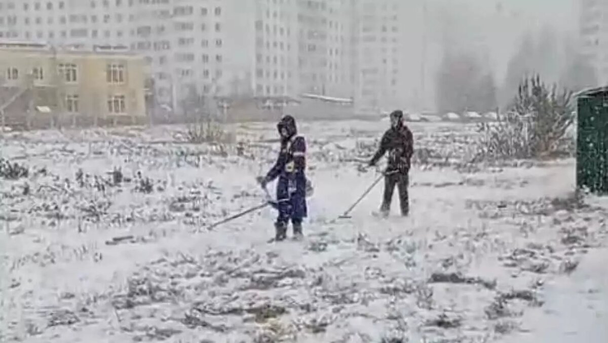     В Нижнекамске рабочие косили траву из-за полученного от исполнительного комитета предписания. Об этом в своем Telegram-канале сообщили в пресс-службе местной администрации.